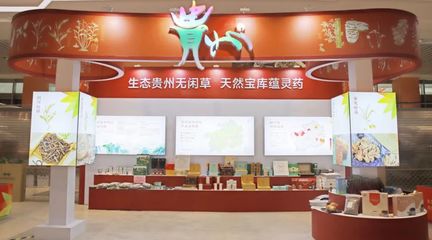 黔藥出山新窗口 貴州中藥材館常駐亳州，近400種道地藥材集中亮相